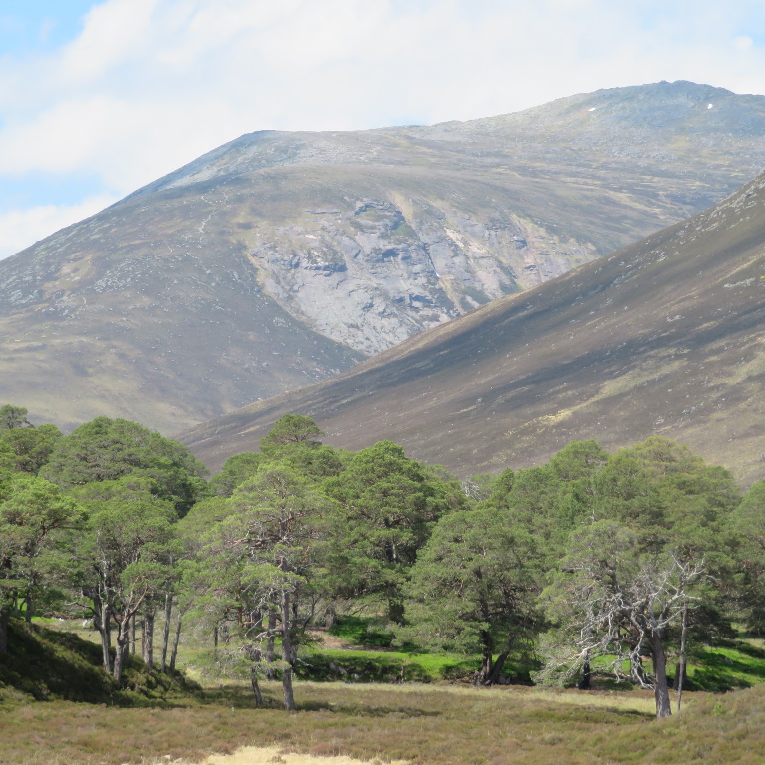 The cliff face, photographed earlier in daylight