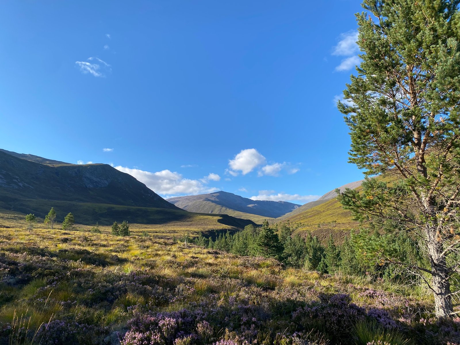 Camp in the Lairig Ghru, Cairngorms